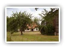 Scheune und Obstbäume auf dem Hof